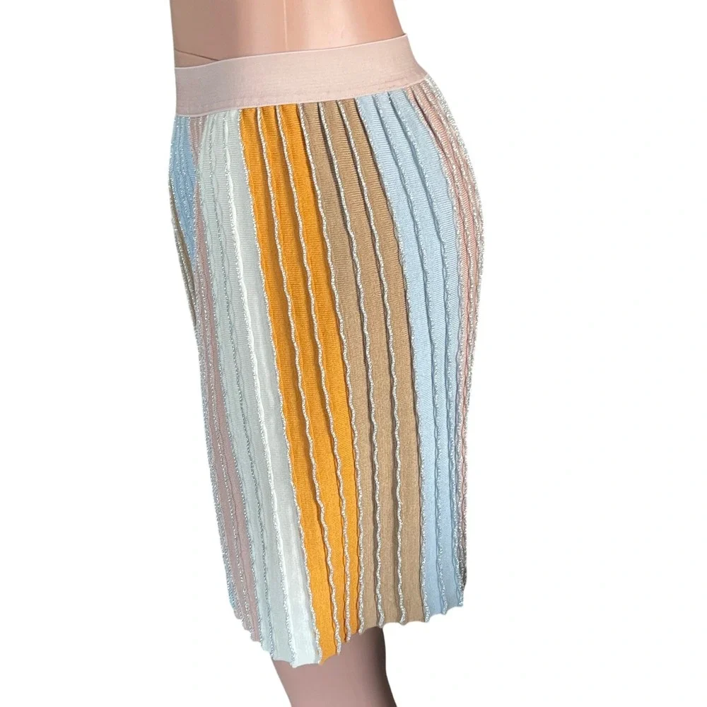 Eva Franco Multicolor Pleated Skirt M Stretch Waist Metallic Ribbed Stripes‎